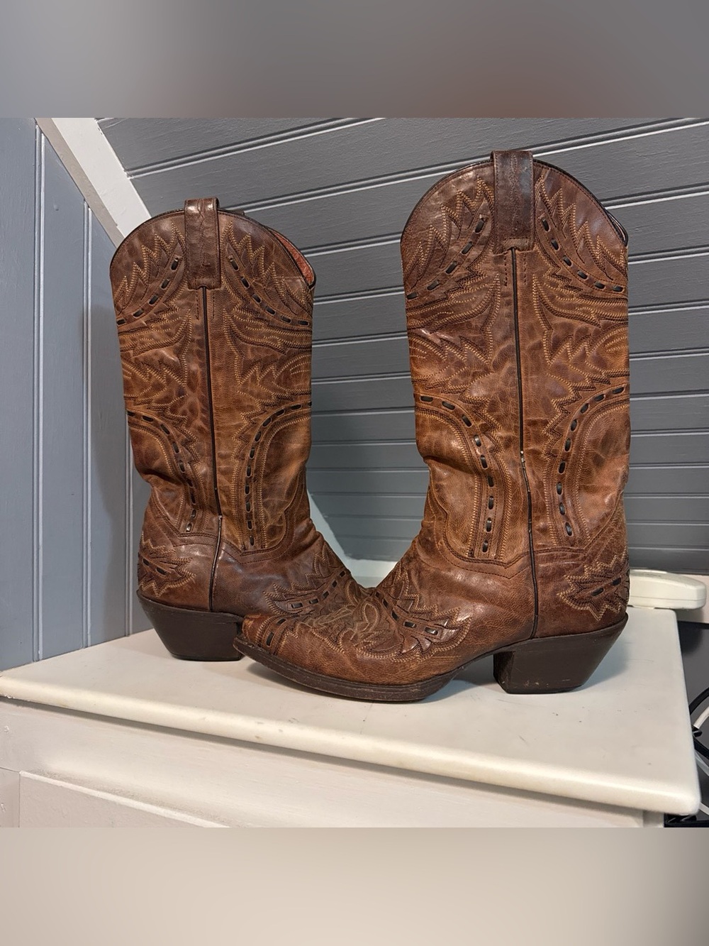 Dan Post Sidewinder Boots